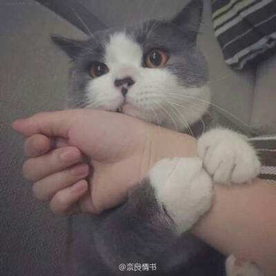 搬砖我最行游戏